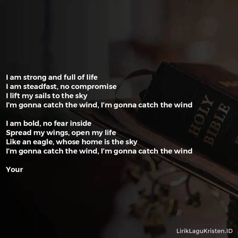 Catch The Wind