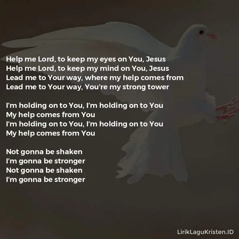 Holding On To You
