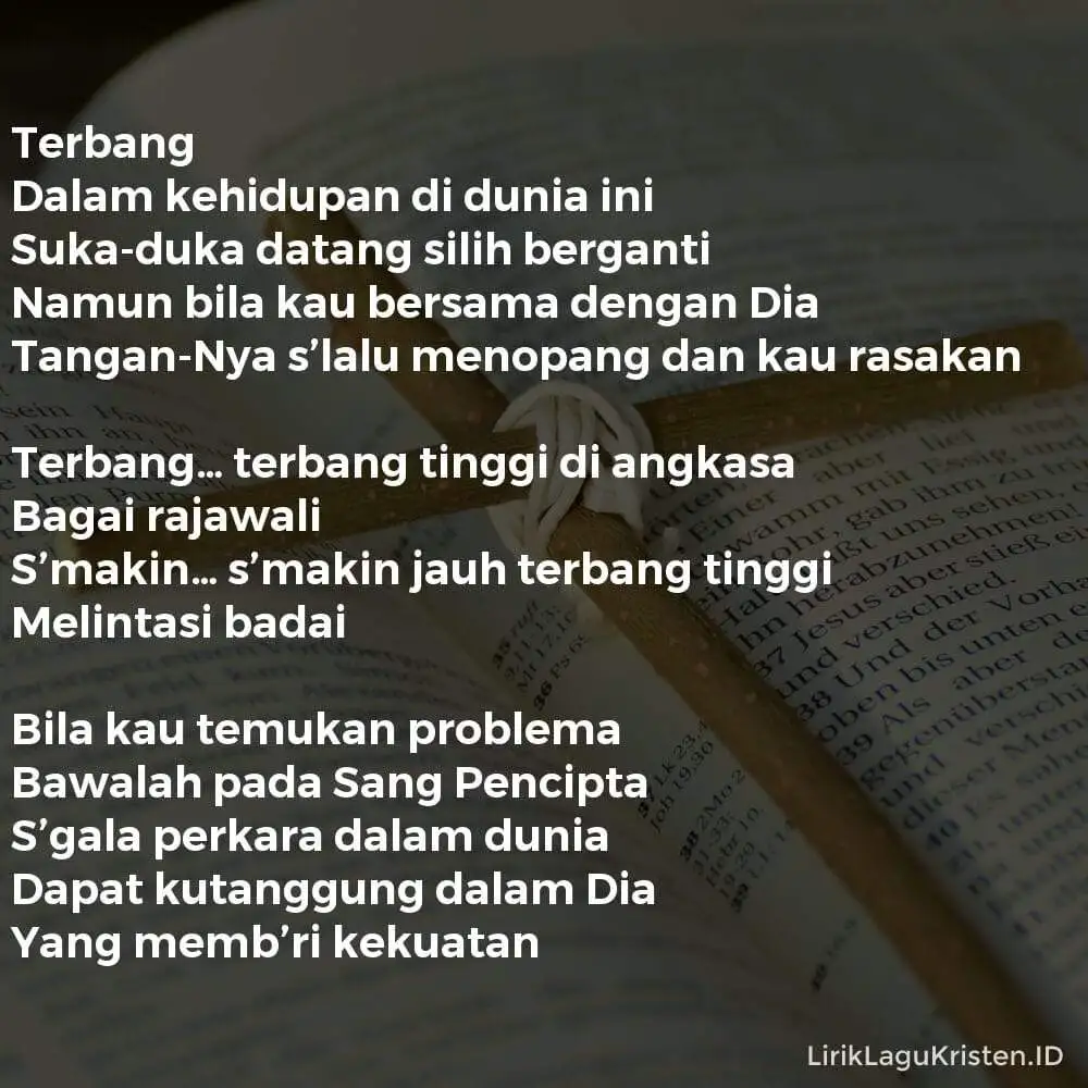 Terbang