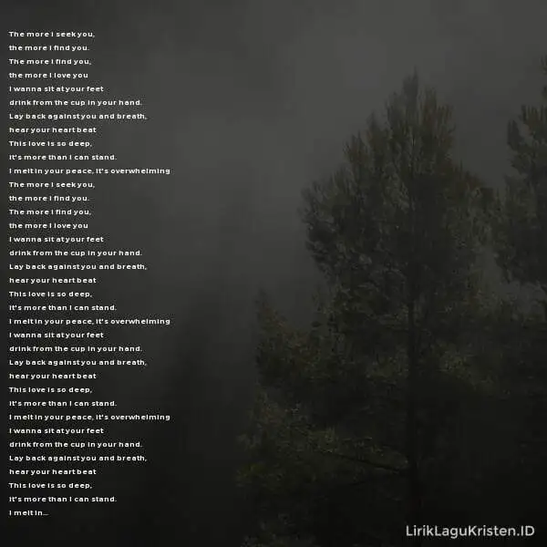 The More I Seek You