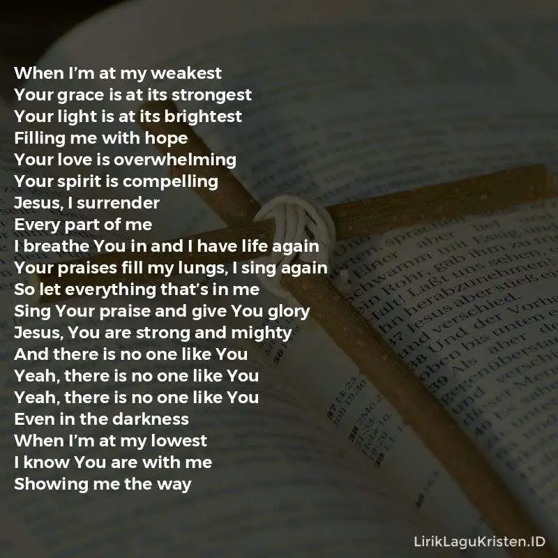 There Is No One Like You