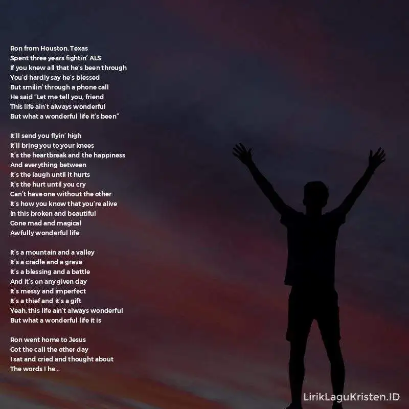 Wonderful Life